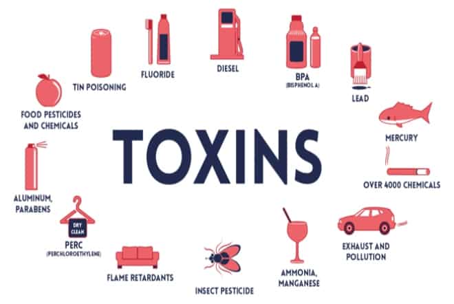 Environmental Toxins You Can Fight Back Here s What To Do 